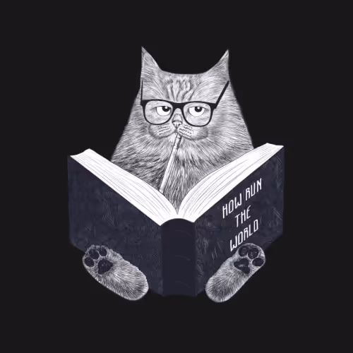 Cat Base