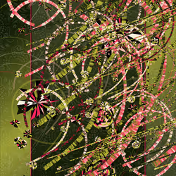 41
