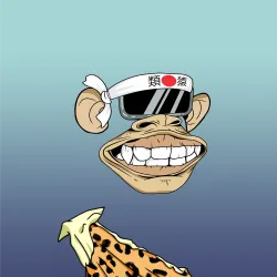 8238