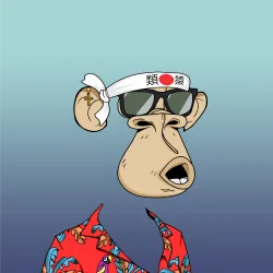 8253