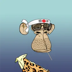 3629