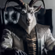 goat