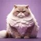 CHONK #872