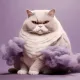 780