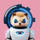 Robo Hedgies #3