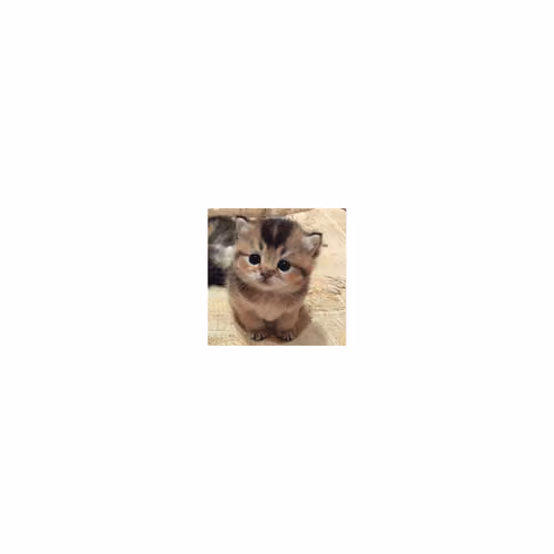#1
