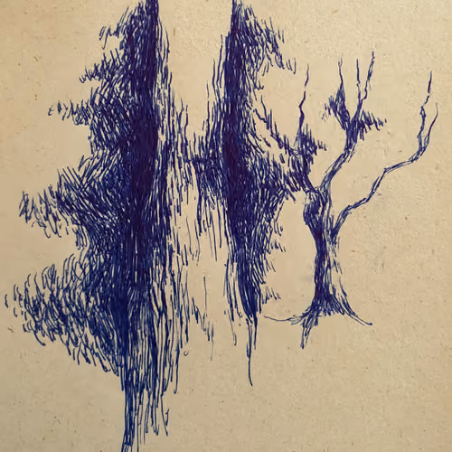 Texture of trees. #19