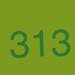 313