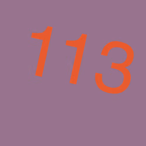 Item #113 Media