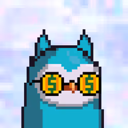 66