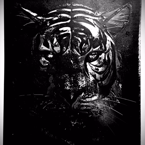 The Dark Side of Bayang Harimau #1