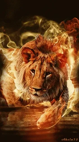 Lion 687