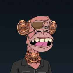1177