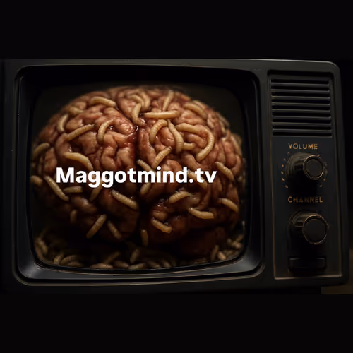 Item #645 Media