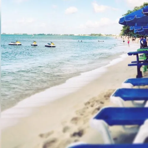 Island 36