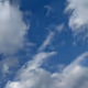 343
