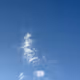 335