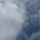 341