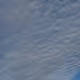 351