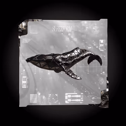 Item #17 Media
