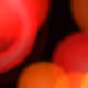 #233