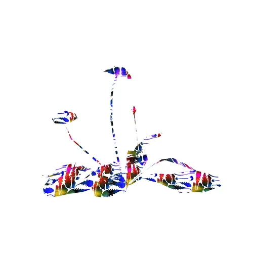 90