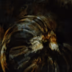 342