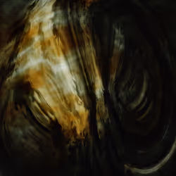 491