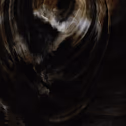 223