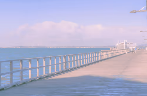 Drop Bear Visuals Base 1/1's