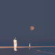 111