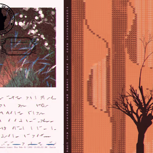 Les Lettres Que Tu N As Jamais Lues