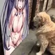 9129