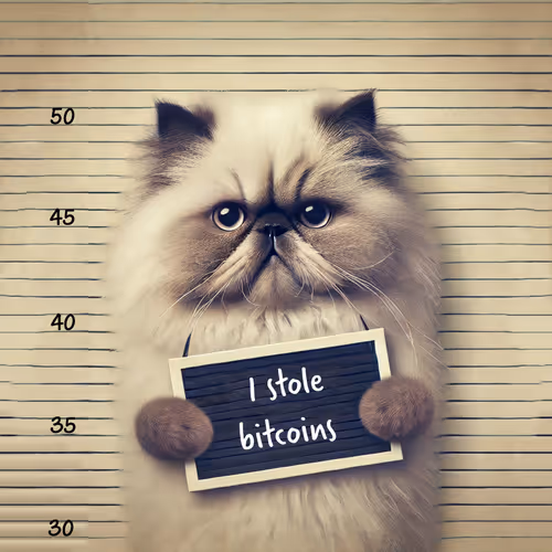 Miggles Stole Bitcoins