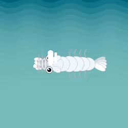 Item Media Placeholder