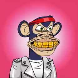 Ape Boltadori Club #1295