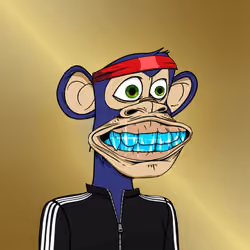 Ape Boltadori Club #2247