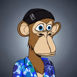 Ape Boltadori Club #1569