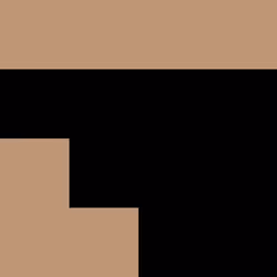81