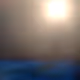 239