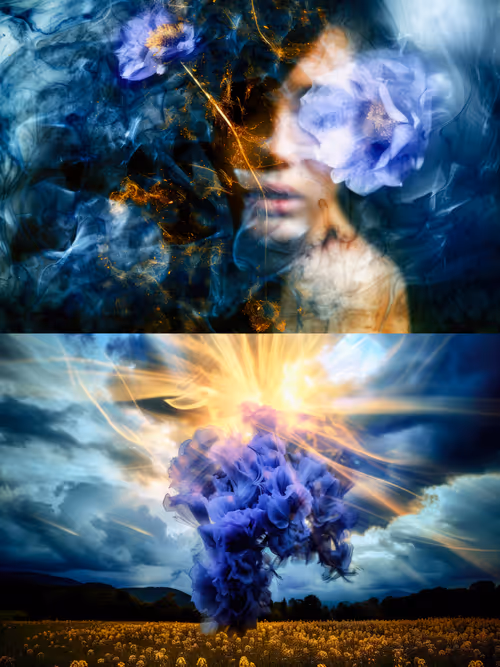 Item #11 Media