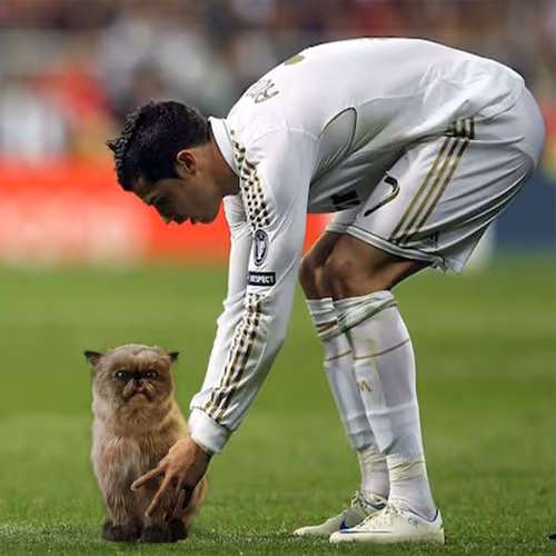 Goat With Ronaldo