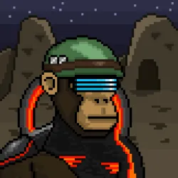 597