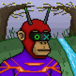 243