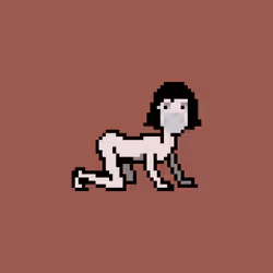 9036