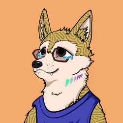 SHIB CLUB #2692