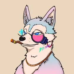 SHIB CLUB #1043