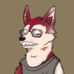 SHIB CLUB #482