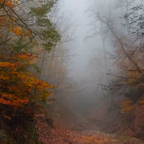 In The Mist 3