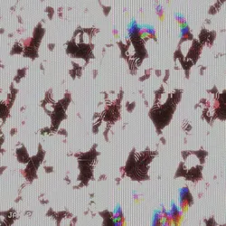 112